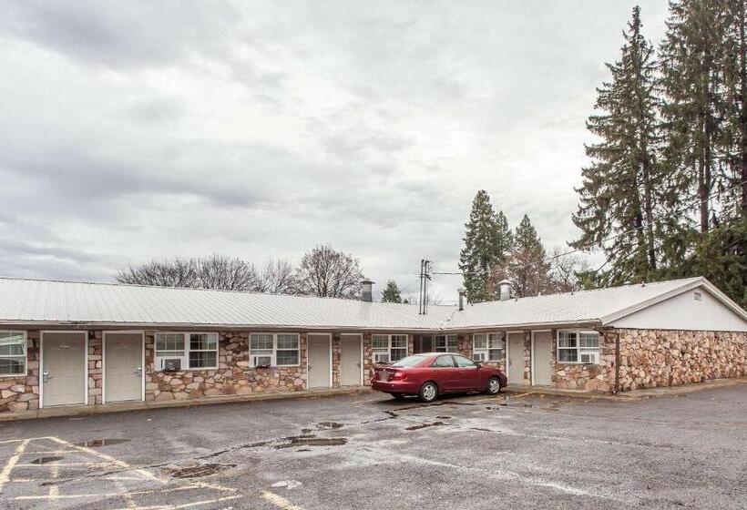 هتل Rodeway Inn