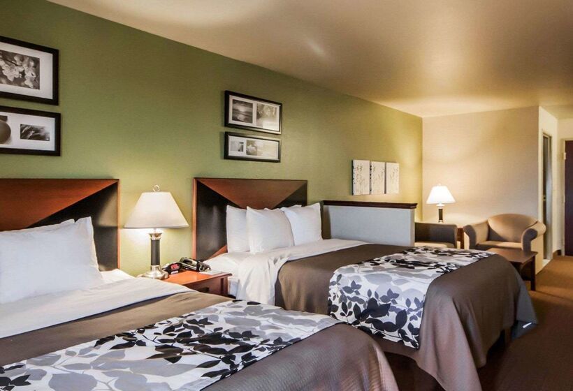 Отель Sleep Inn & Suites