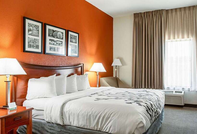 فندق Sleep Inn & Suites