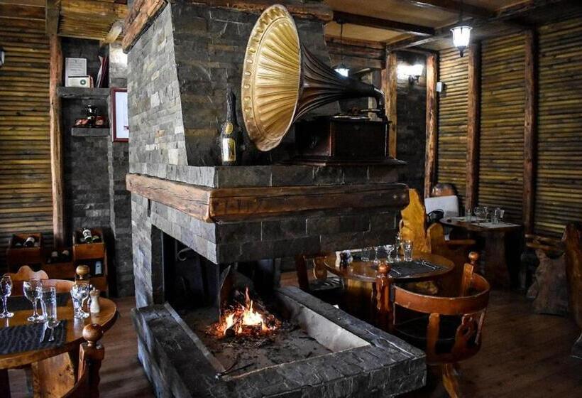 هتل Vila Prezident