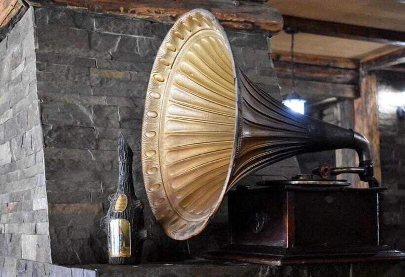 هتل Vila Prezident