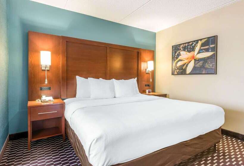 فندق Spark By Hilton St. Augustine Historic District