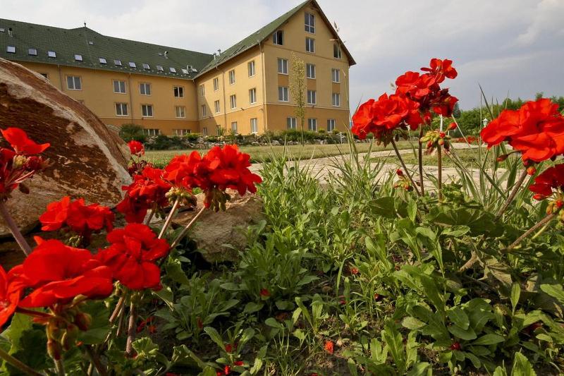 Fotos del hotel Vis Vitalis Medical Wellness:  12