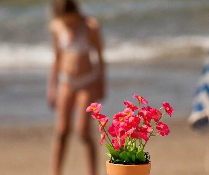 The Noverian Antama Organic Beach Resort Chania