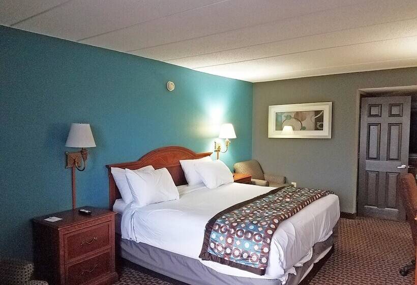 فندق Americas Best Value Inn St. Louis Downtown