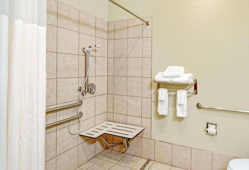 هتل Baymont By Wyndham Decatur