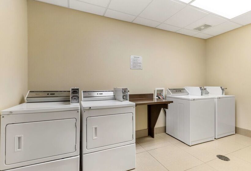 فندق Best Western Plus Longhorn Inn & Suites