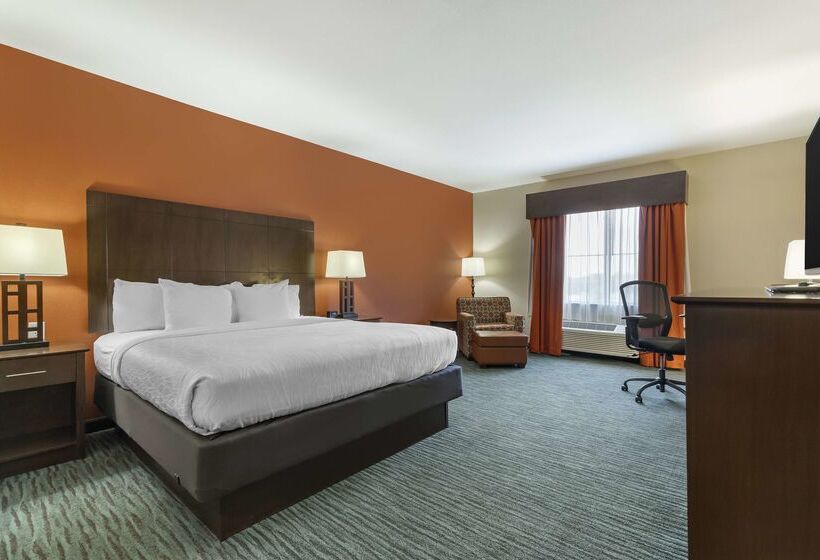 فندق Best Western Plus Longhorn Inn & Suites