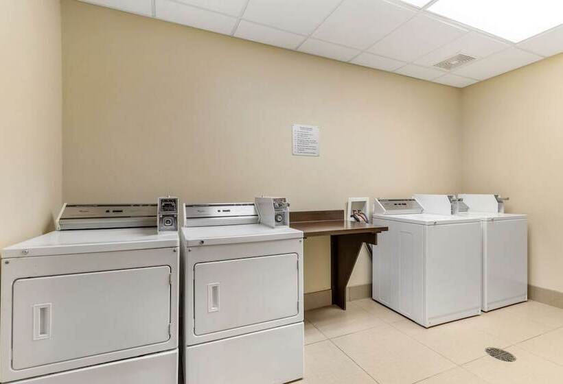 فندق Best Western Plus Longhorn Inn & Suites