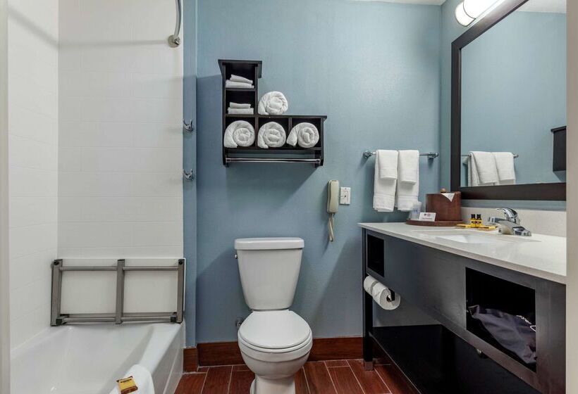 هتل Best Western Plus North Odessa Inn & Suites