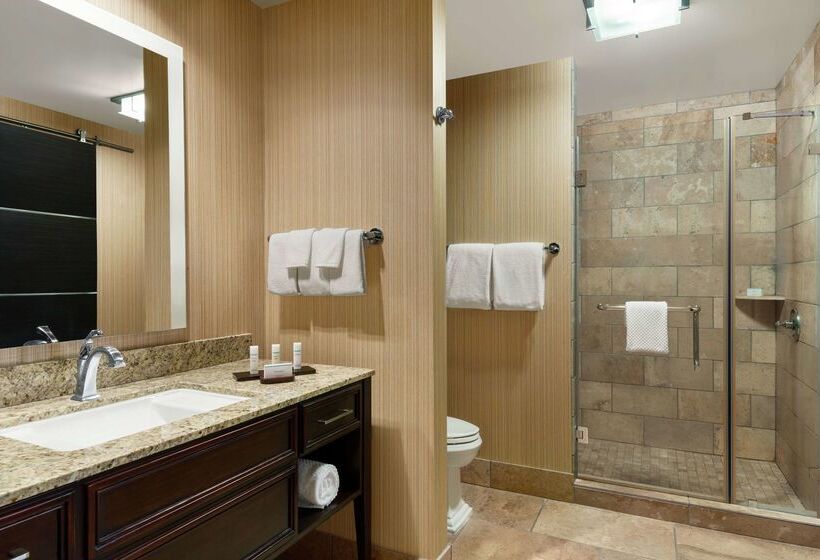 Hotel Embassy Suites By Hilton Salt Lake West Valley City