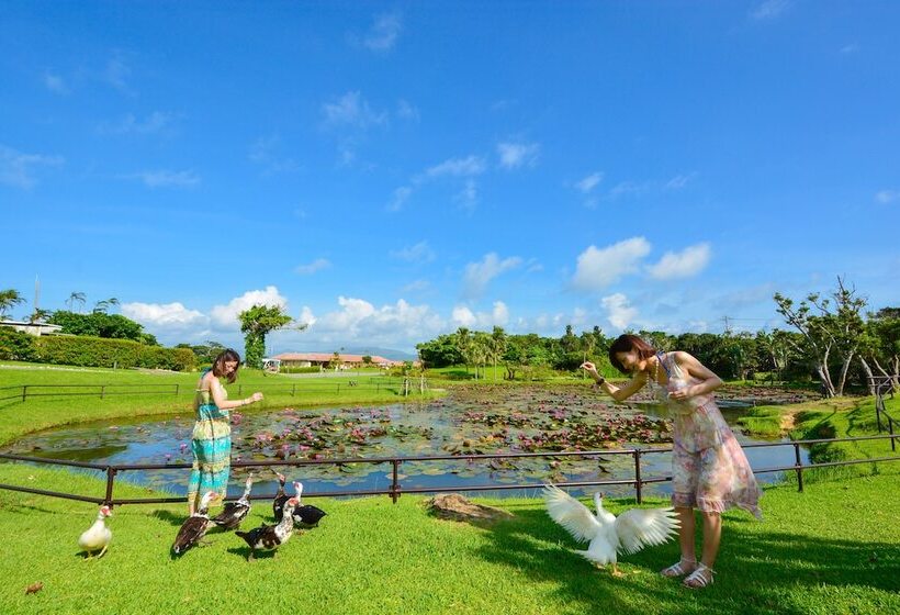 Fotos del hotel Haimurubushi:  29