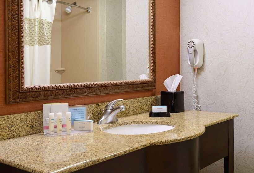 هتل Hampton Inn & Suites Peoria At Grand Prairie, Il