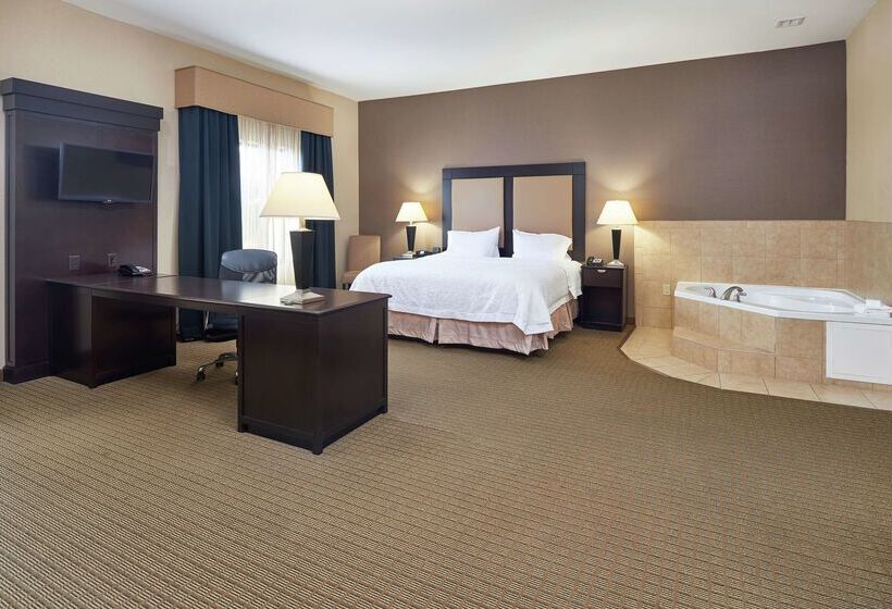 فندق Hampton Inn & Suites Decatur