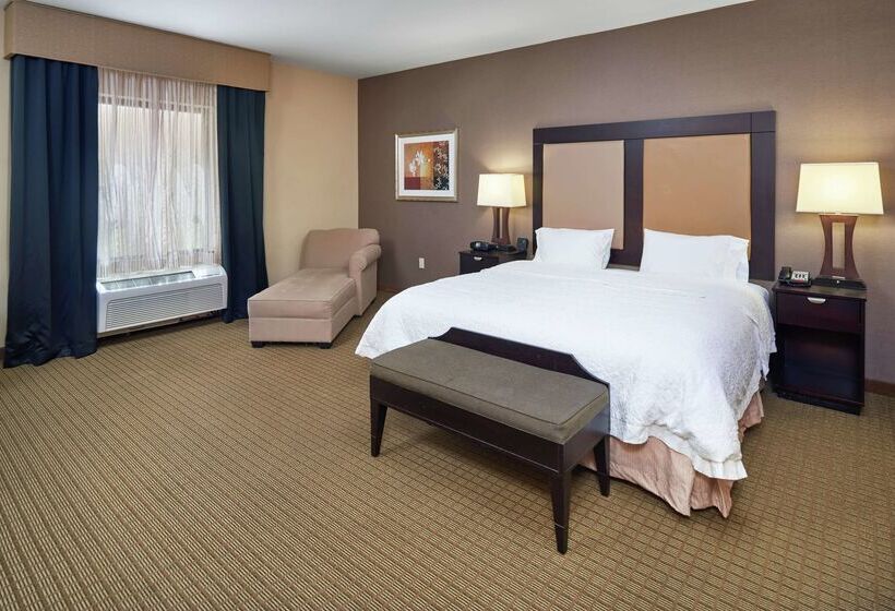 Hotel Hampton Inn & Suites Decatur