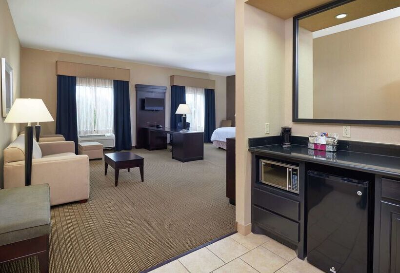 Hotel Hampton Inn & Suites Decatur