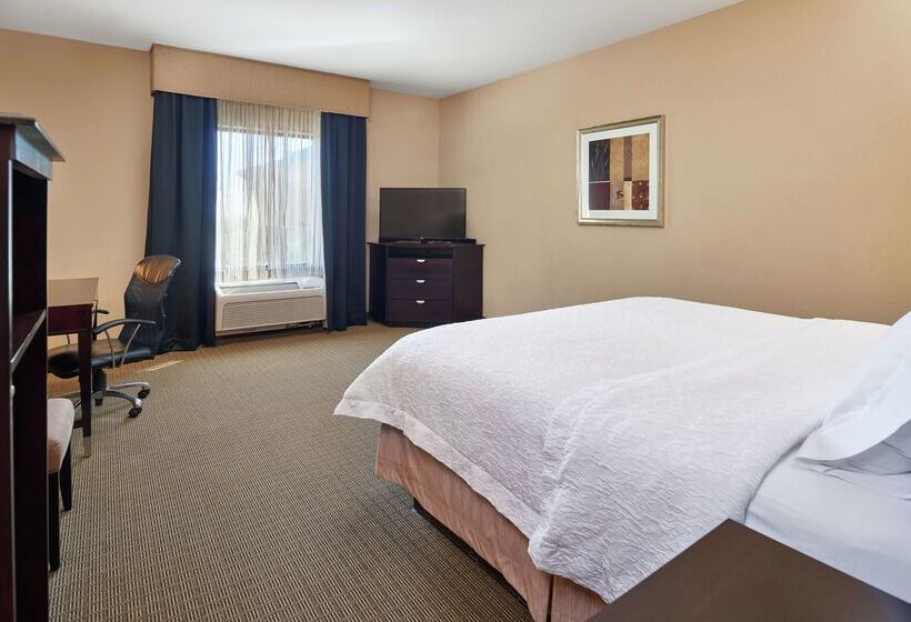 Hotel Hampton Inn & Suites Decatur