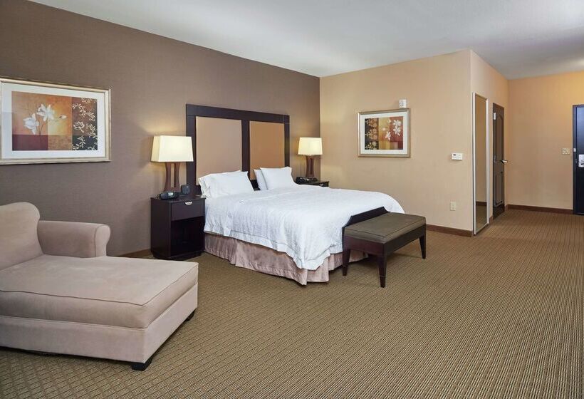 هتل Hampton Inn & Suites Decatur