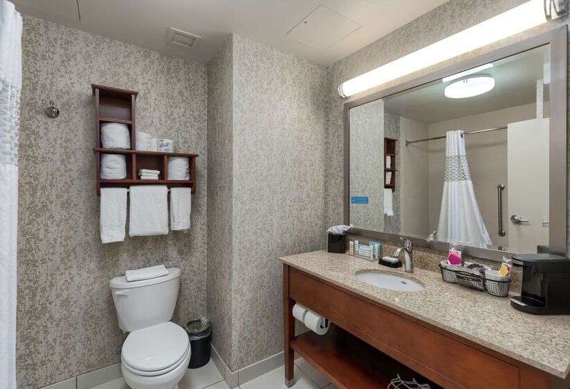 בית מלון כפרי Hampton Inn & Suites Downtown Owensboro/waterfront