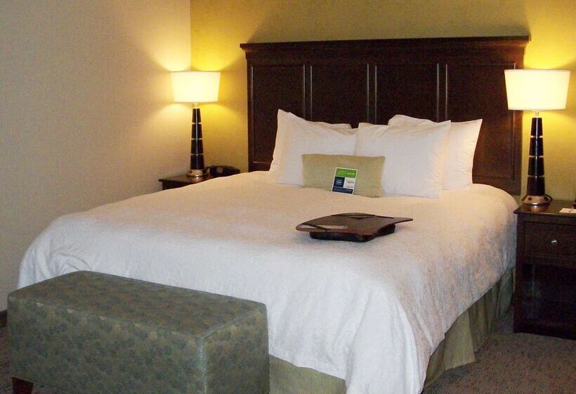 Hotel Hampton Inn & Suites Manteca