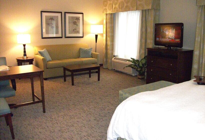 Hotel Hampton Inn & Suites Manteca