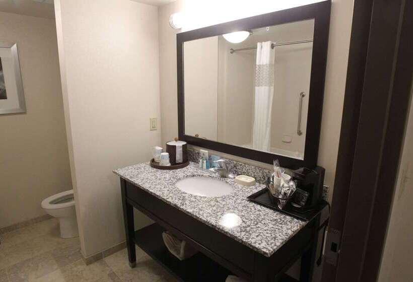 בית מלון כפרי Hampton Inn & Suites Senecaclemson Area