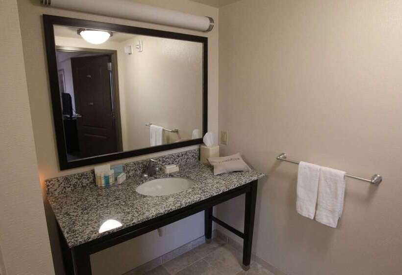בית מלון כפרי Hampton Inn & Suites Senecaclemson Area