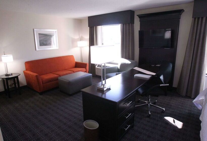 בית מלון כפרי Hampton Inn & Suites Senecaclemson Area