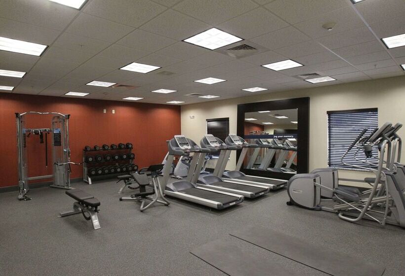 בית מלון כפרי Hampton Inn & Suites Senecaclemson Area