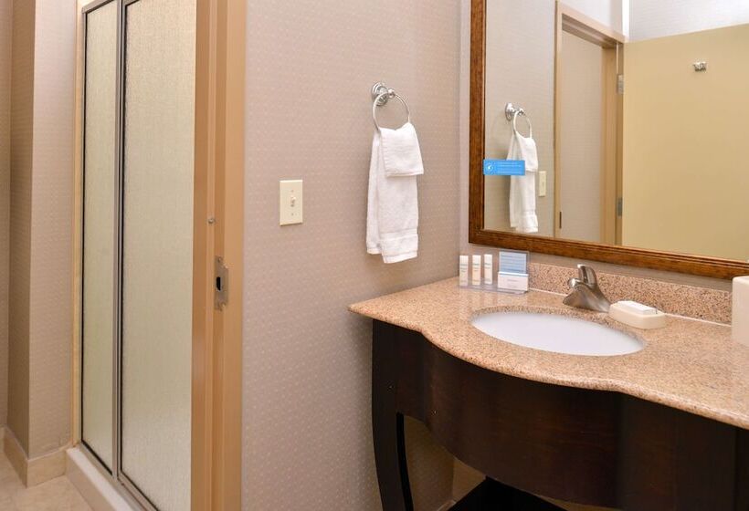 هتل Hampton Inn Van Horn