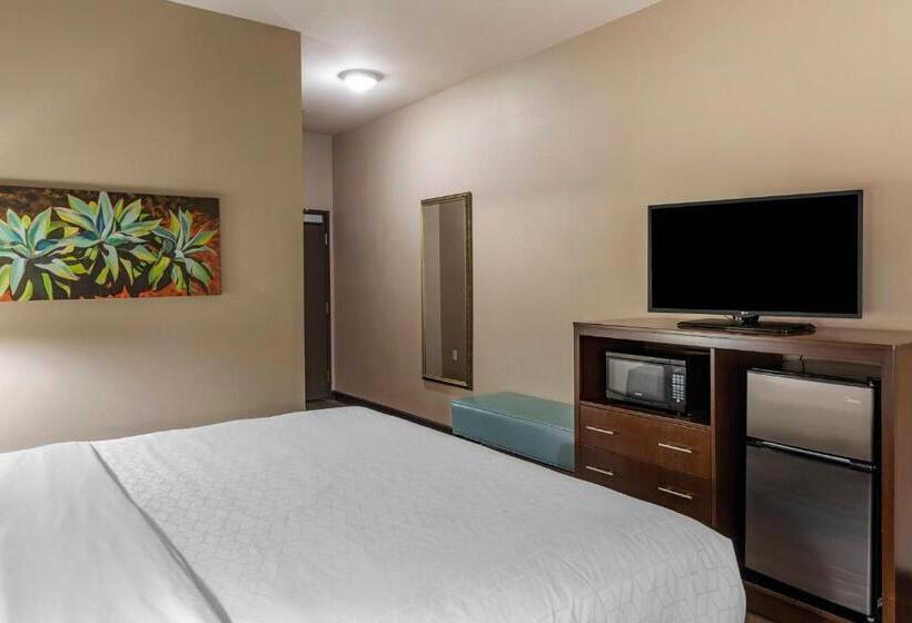 酒店 Holiday Inn Express & Suites Indio   Coachella Valley, An Ihg