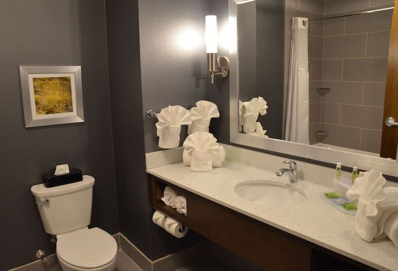 هتل Holiday Inn Express & Suites Albany