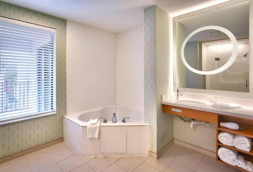 هتل Springhill Suites By Marriott Provo