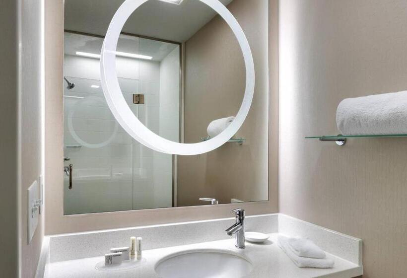 هتل Springhill Suites By Marriott Provo