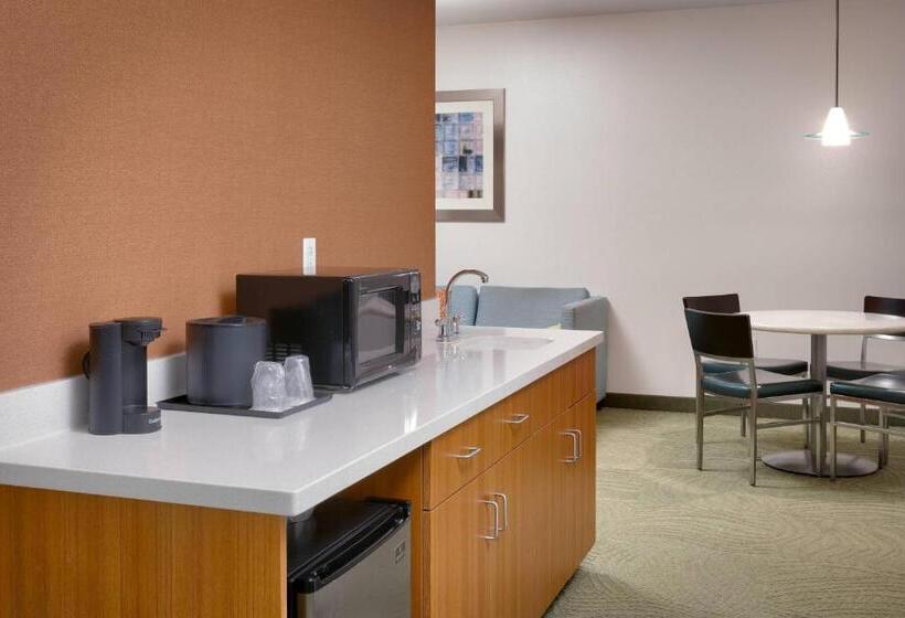 هتل Springhill Suites By Marriott Provo