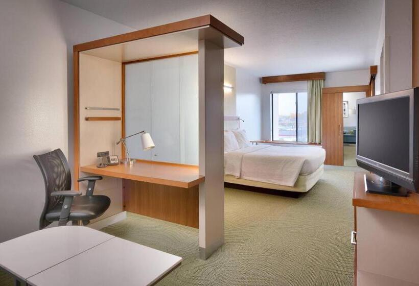 هتل Springhill Suites By Marriott Provo