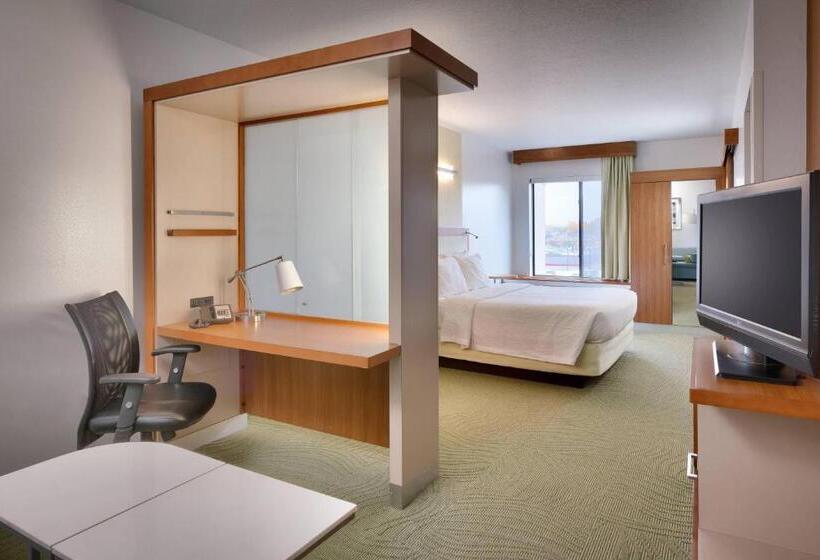 هتل Springhill Suites Provo