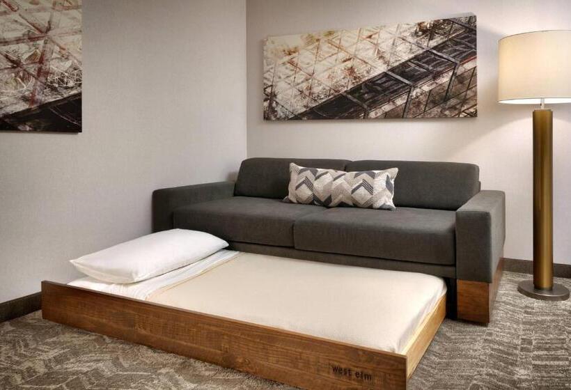 هتل Springhill Suites By Marriott Provo