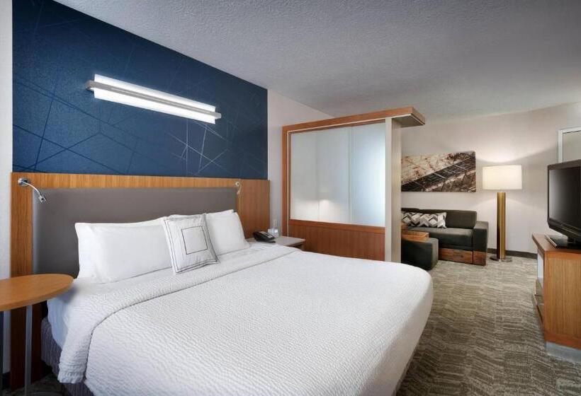 هتل Springhill Suites By Marriott Provo