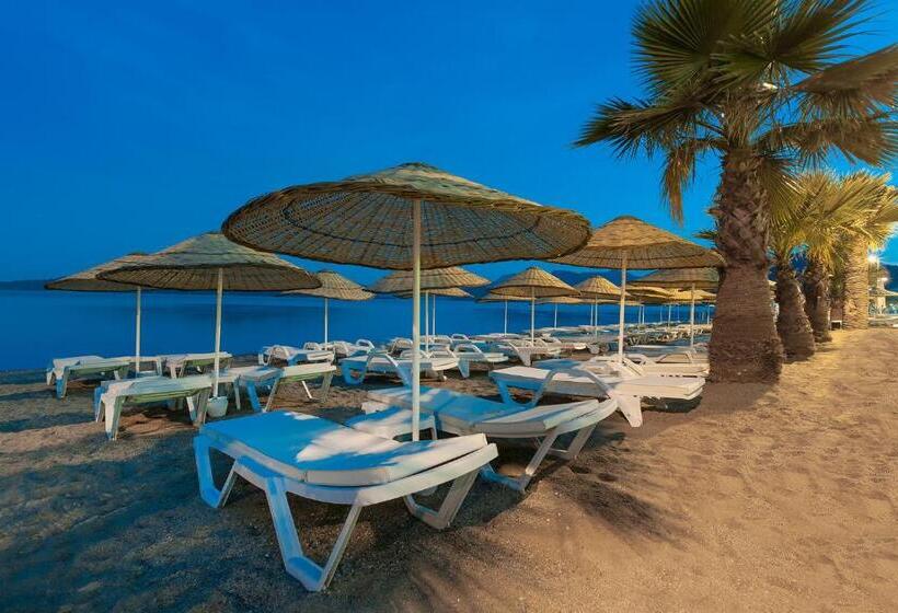 The Beachfront Hotel Adult Only 16 Plus