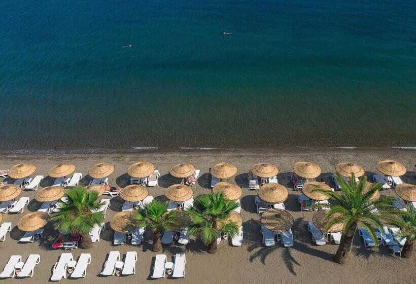 The Beachfront Hotel Adult Only 16 Plus
