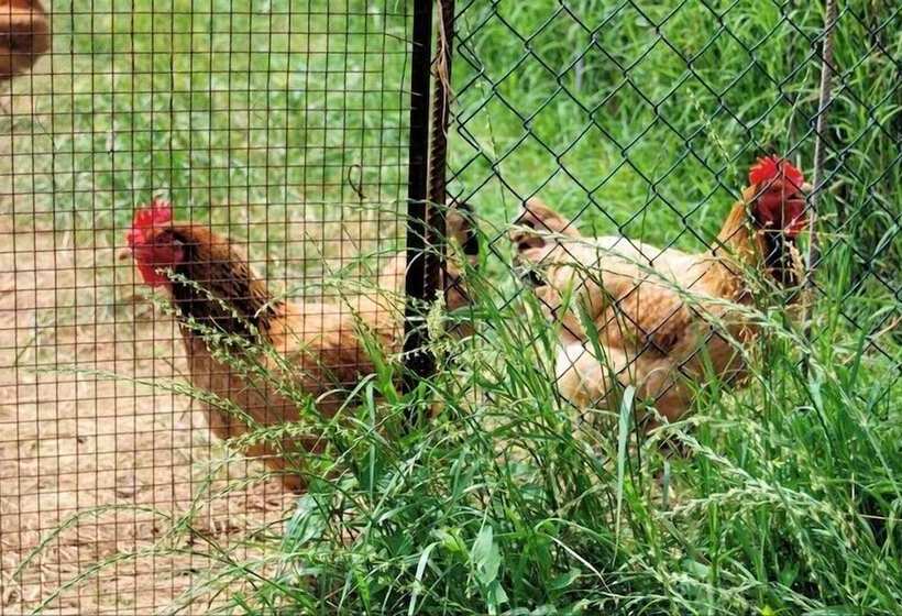 Agriturismo Il Melograno