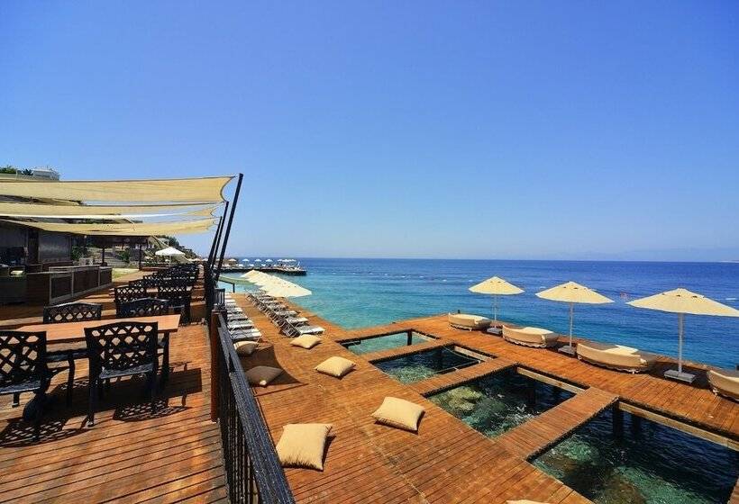 هتل Swissôtel Living Bodrum