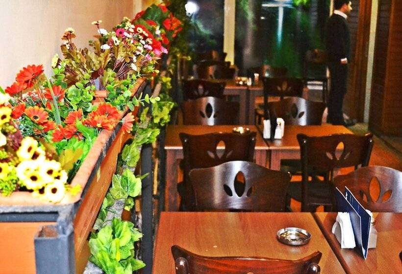 Fotos del hotel Alyon Hotel Taksim:  38