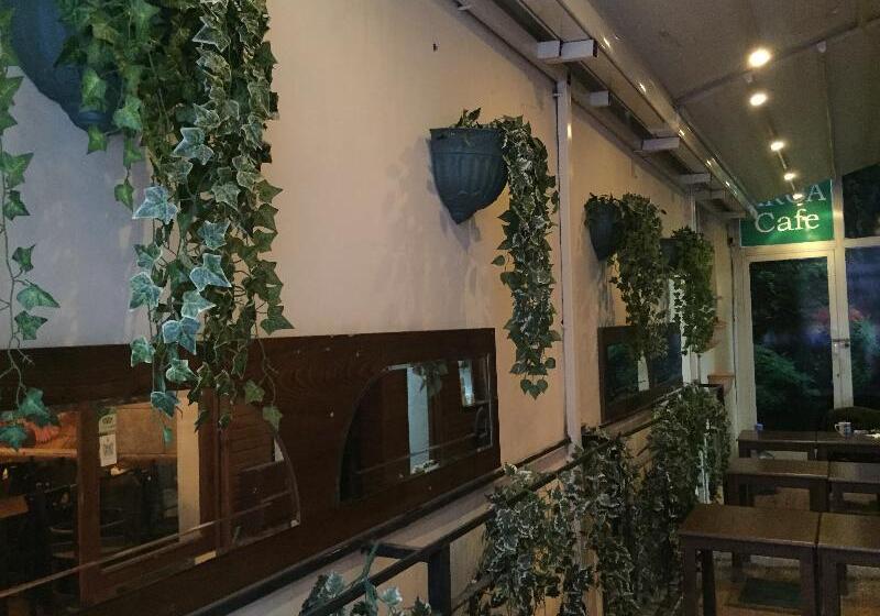 Fotos del hotel Alyon Hotel Taksim:  23