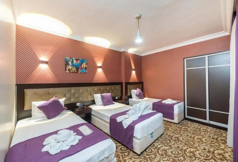 Fotos del hotel Diamond City Istanbul:  13