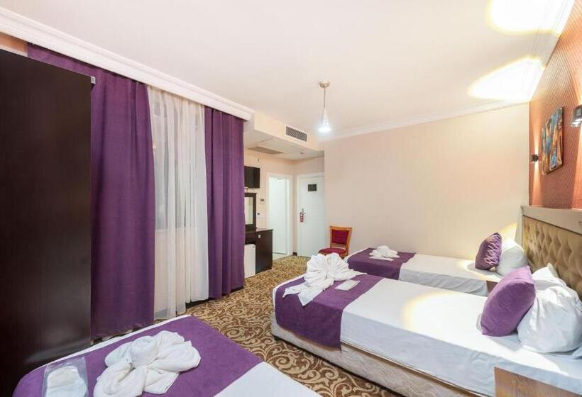 Fotos del hotel Diamond City Istanbul:  4