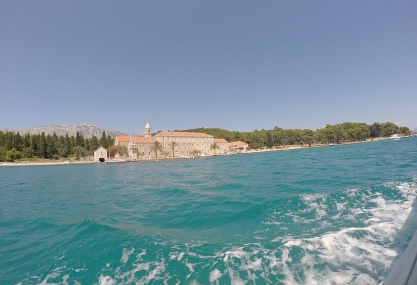 هتل Dragan S Den Hostel