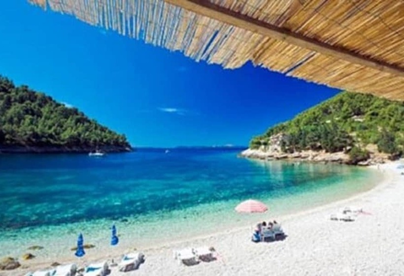 هتل Dragan S Den Hostel