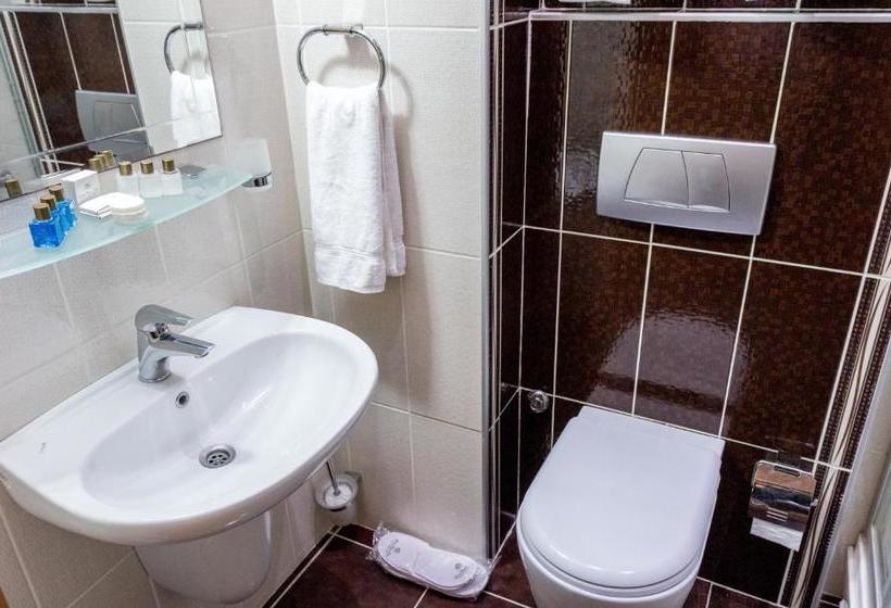 Fotos del hotel Grand Rosa:  10